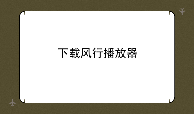 下载风行播放器