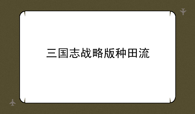 三国志战略版种田流