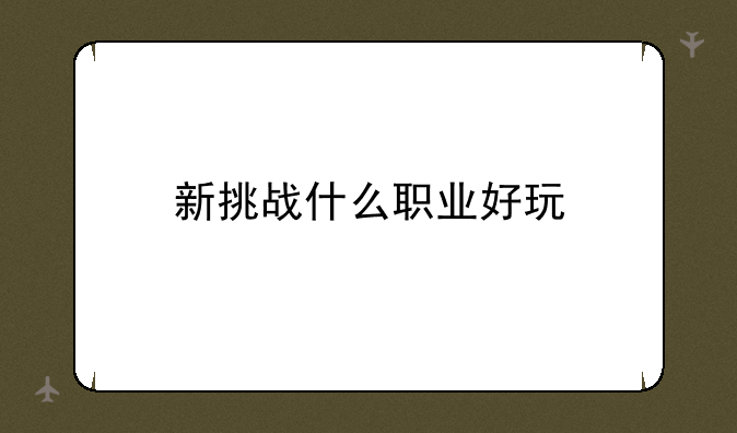 新挑战什么职业好玩