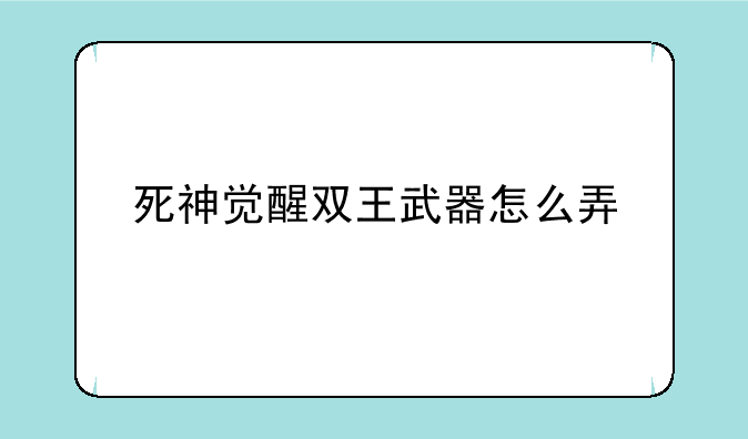 死神觉醒双王武器怎么弄