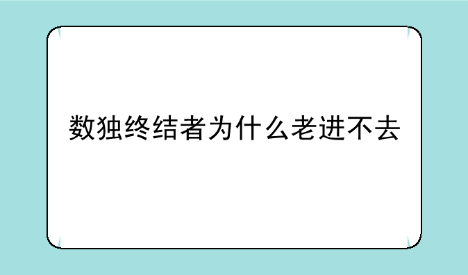 数独终结者为什么老进不去