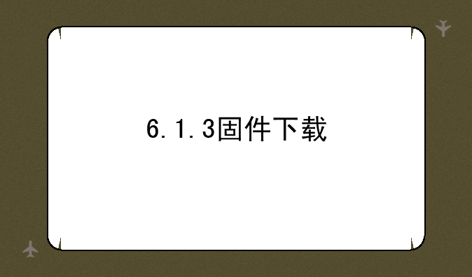 6.1.3固件下载